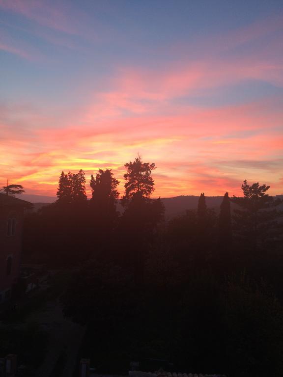 Tenuta Di Vico Moricino *