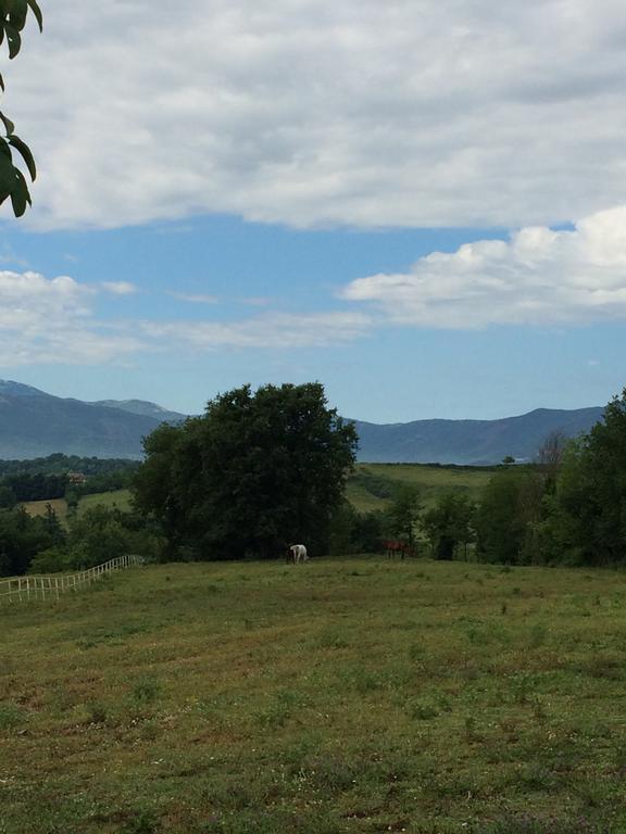 Tenuta Di Vico Moricino