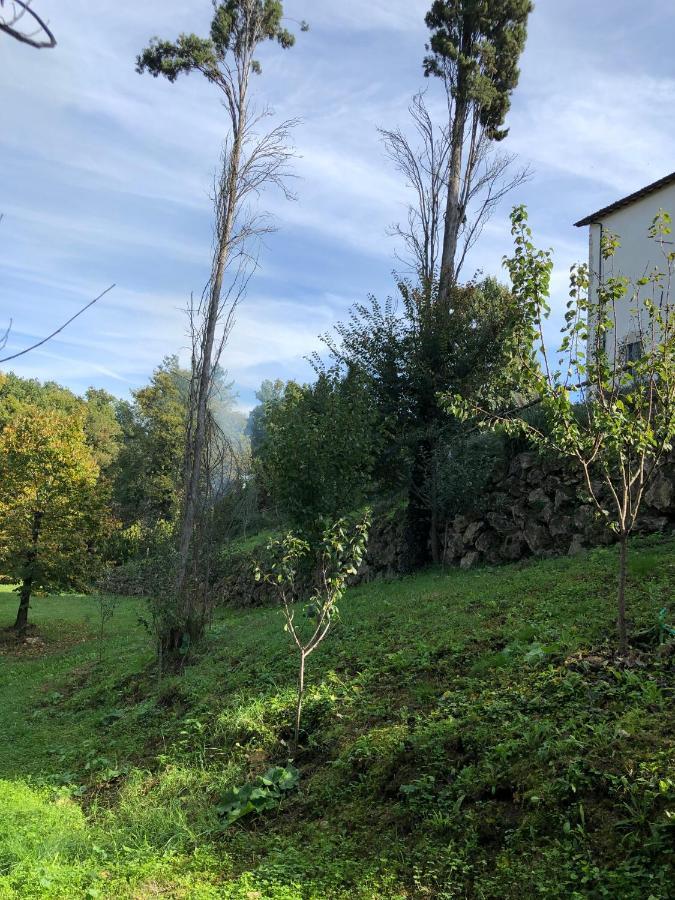 Tenuta Di Vico Moricino Agroturismo Anagni